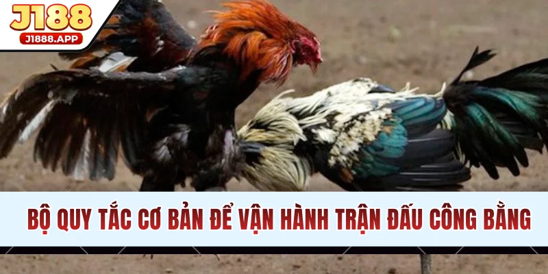 Bộ quy tắc cơ bản để vận hành trận đấu công bằng