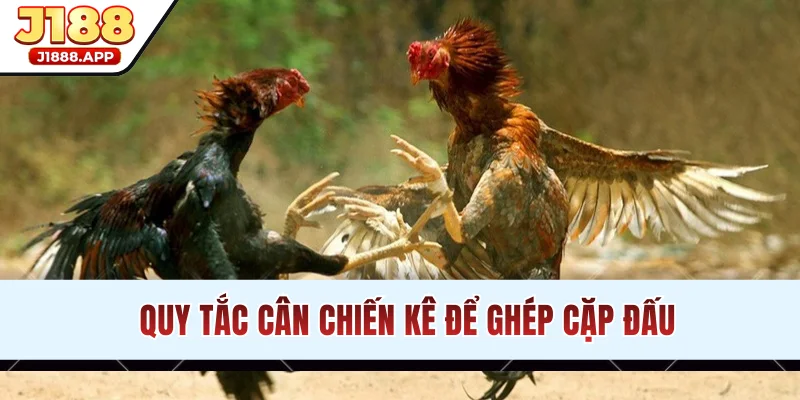Quy tắc cân chiến kê để ghép cặp đấu