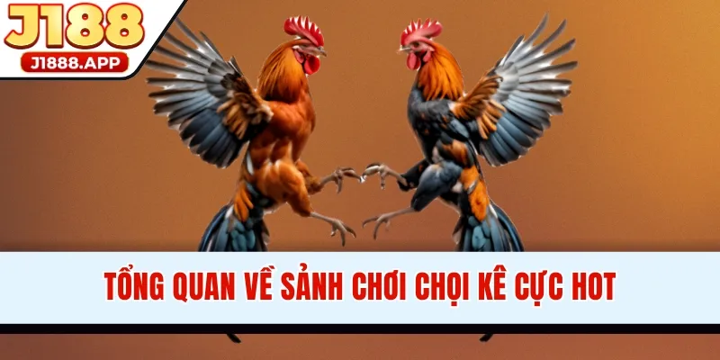 Tổng quan về sảnh chơi chọi kê cực hot